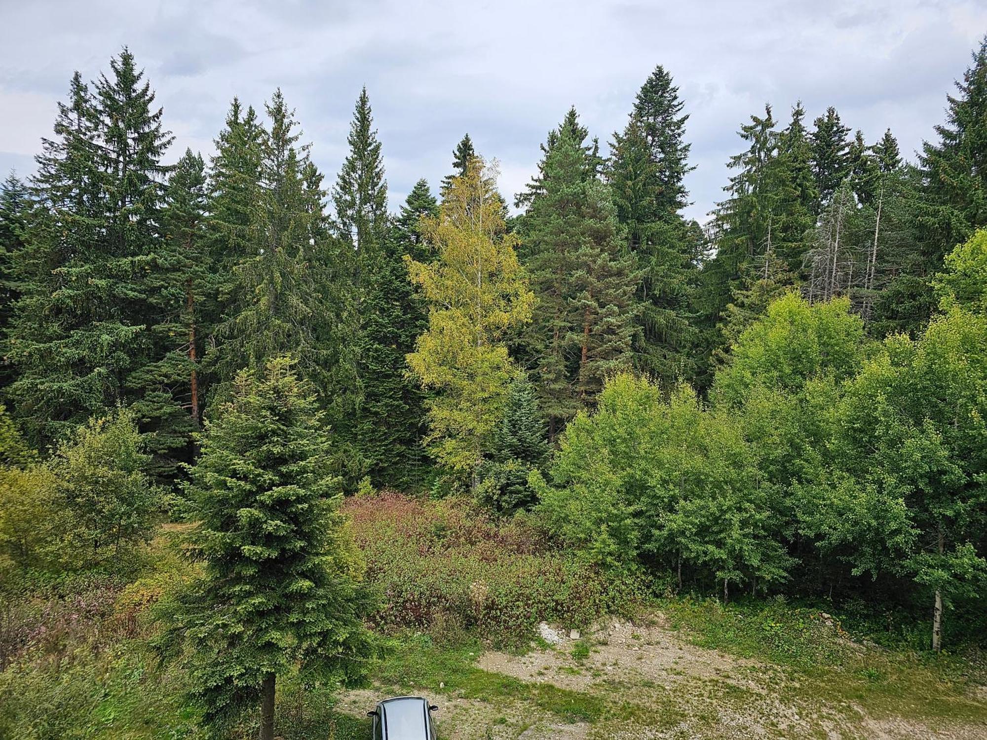 Studio In Borovets Gardens Complex Exterior photo
